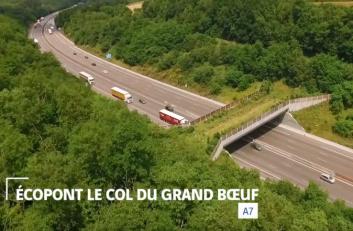 Biodiversité Auvergne Rhône-Alpes