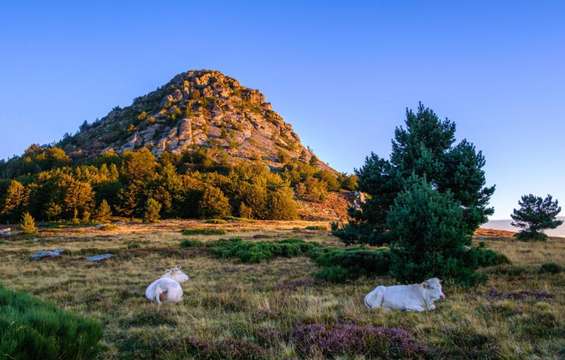 site-touristique-vinci-autoroutes-parc-naturel-regional-monts-ardeche